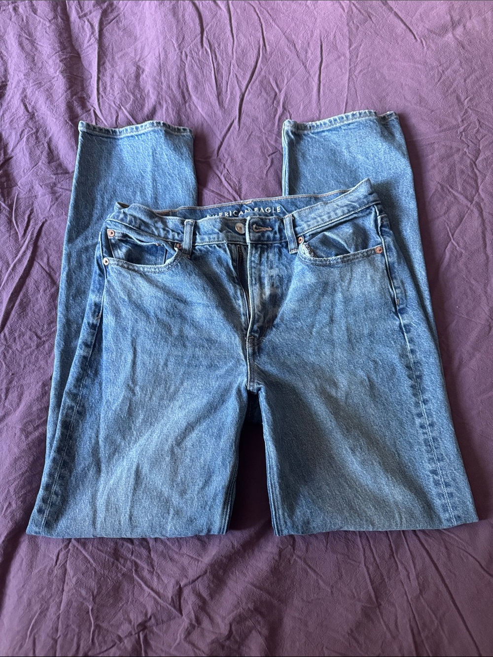 American Eagle Outfitters Classic Blue Denim Jeans